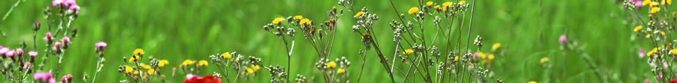 5771-nature-panorama_010.jpg