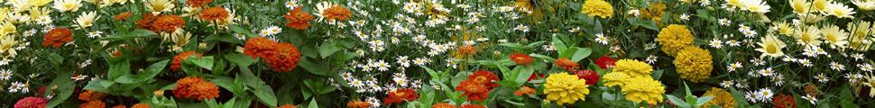 6224-nature-panorama_0201.jpg