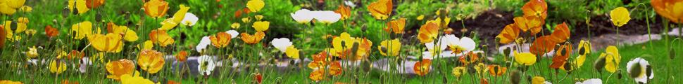6230-nature-panorama_021.jpg