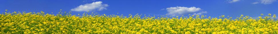 6903-nature-panorama_030.jpg