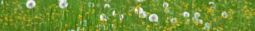 7094-nature-panorama_008.jpg