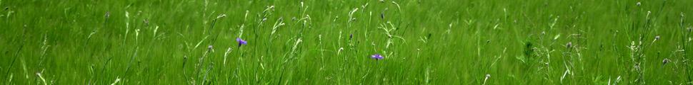 7466-nature-panorama_027.jpg