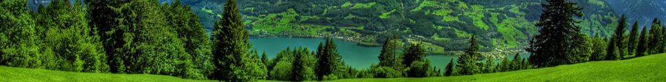 8203-Green-Nature-wallpaper.jpg